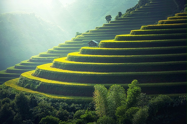 农村旅游度假景区